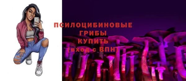 сатива Пролетарск