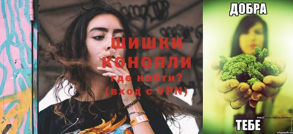 дмт Алексеевка